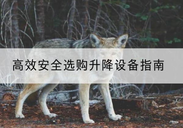 吉县升降货梯厂家推荐-*安全选购升降设备指南