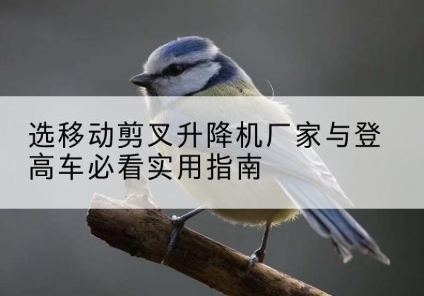 吉县电动升降机厂家-选移动剪叉升降机厂家与登高车必看实用指南